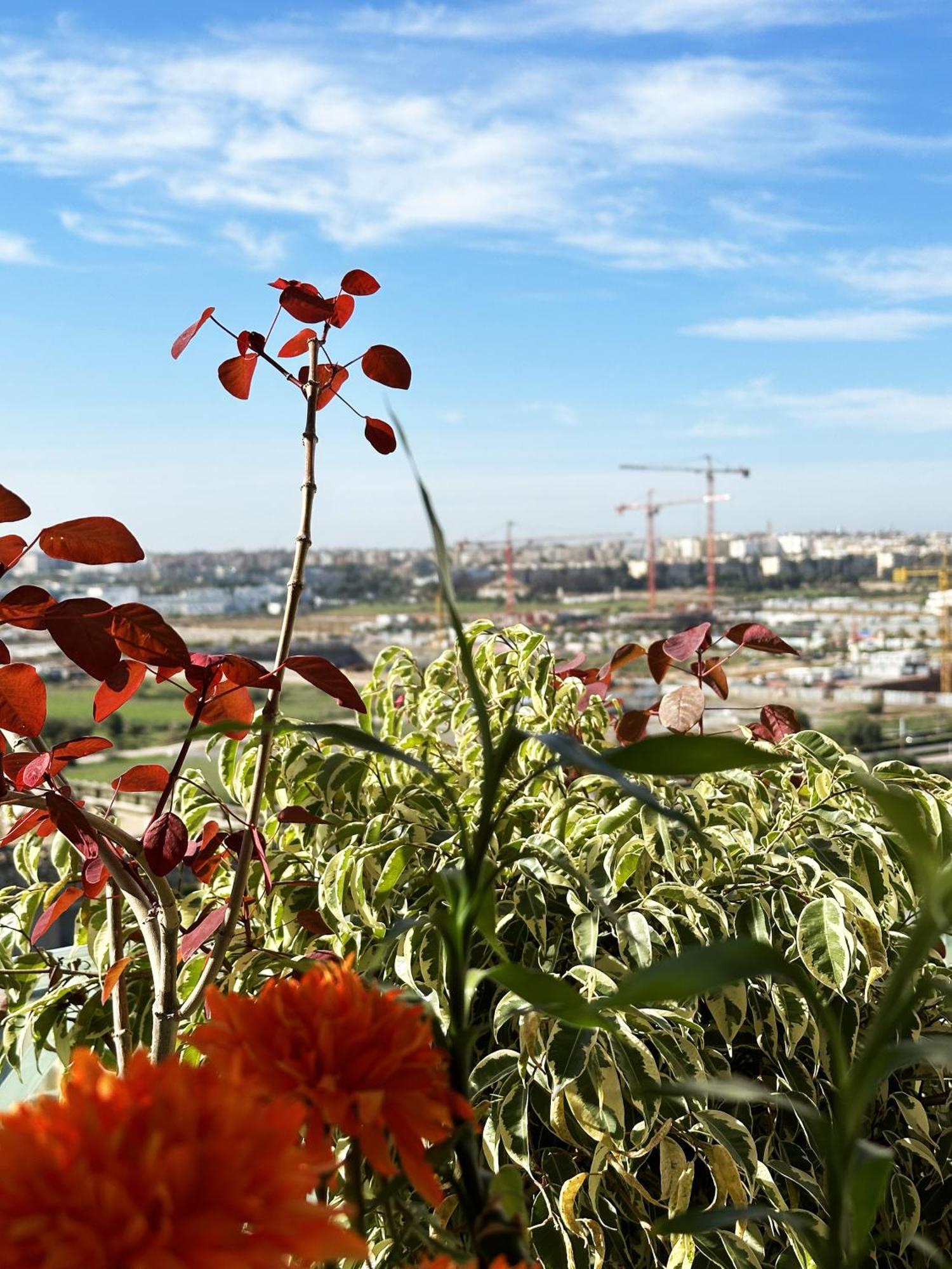 Anfa Louise Apartamento Casablanca Exterior foto